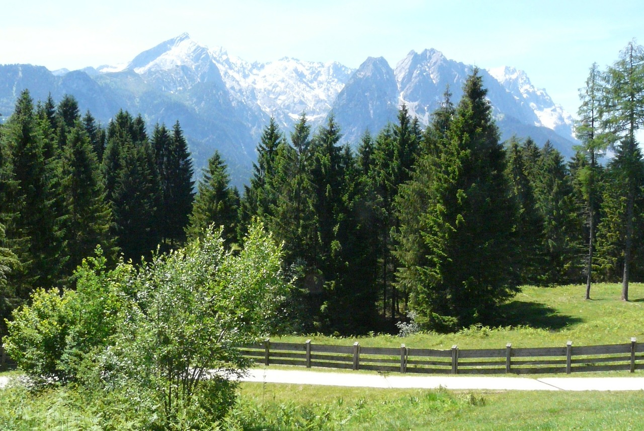 alpine meadow landscape free photo