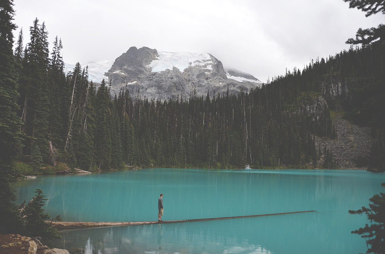 alpine lake turquoise free photo