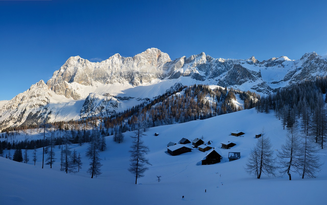 alpine austria styria free photo