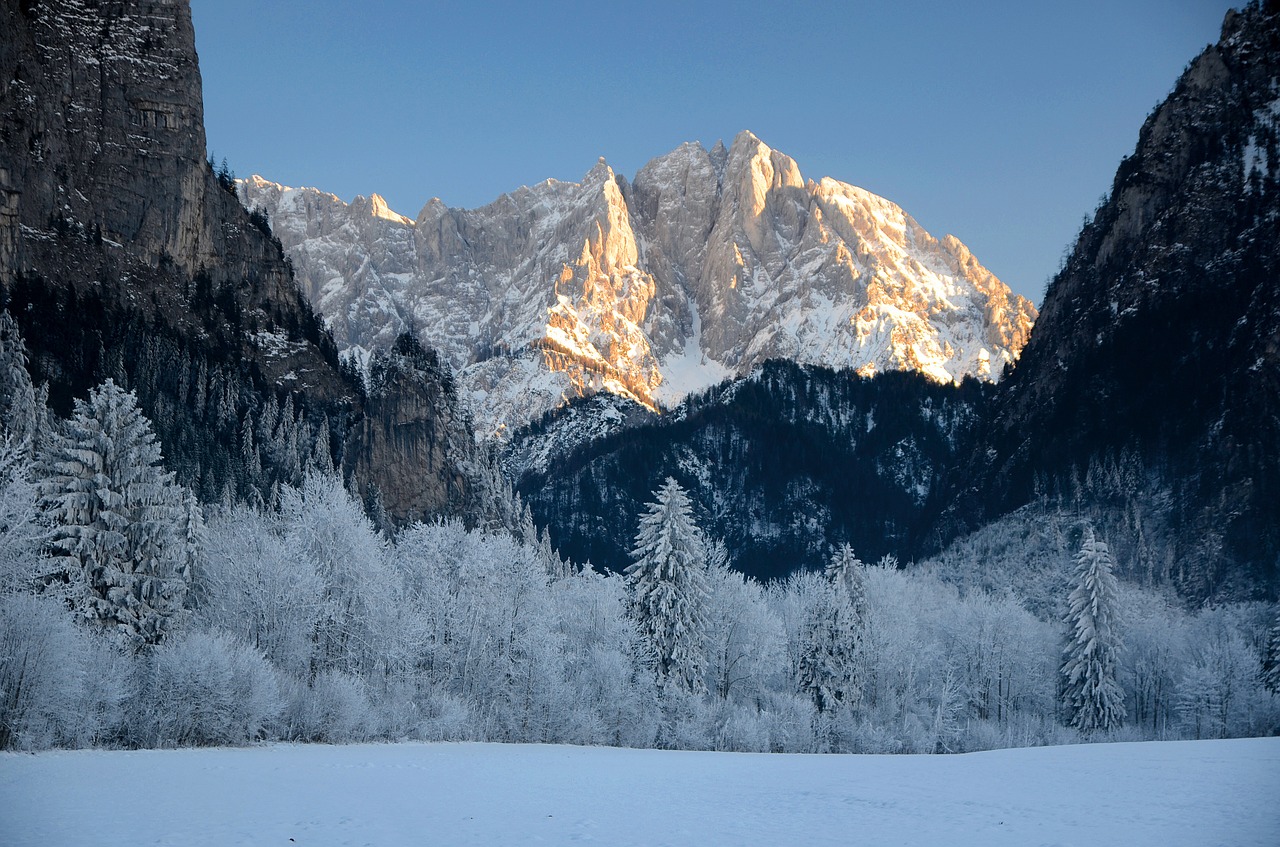 alpine austria panorama free photo