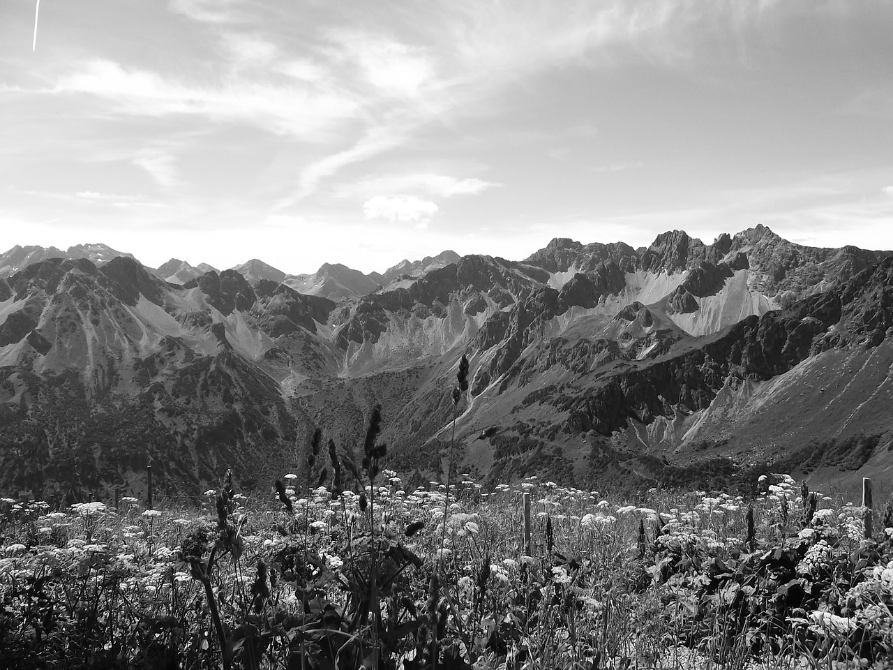 alpine mountains spring free photo