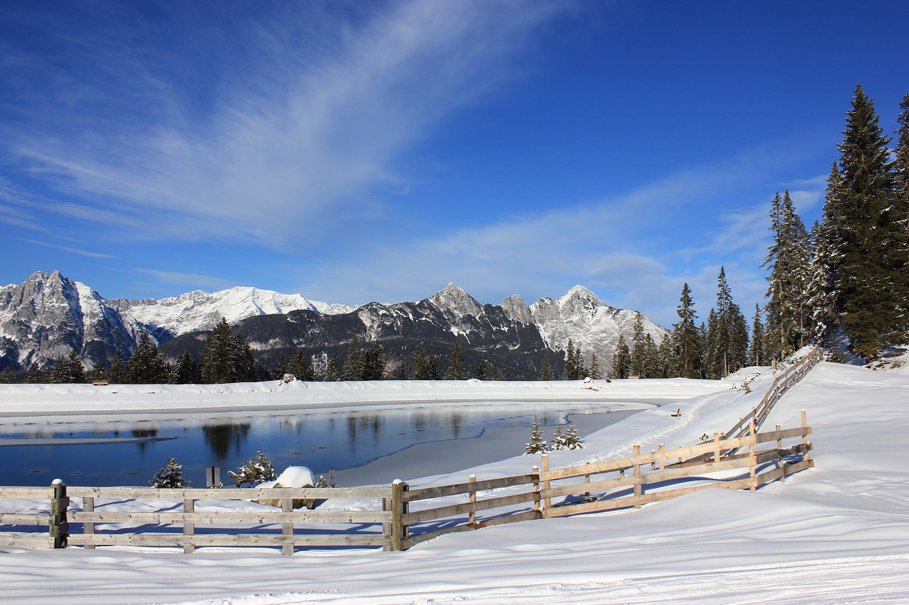 alpine winter fence free photo
