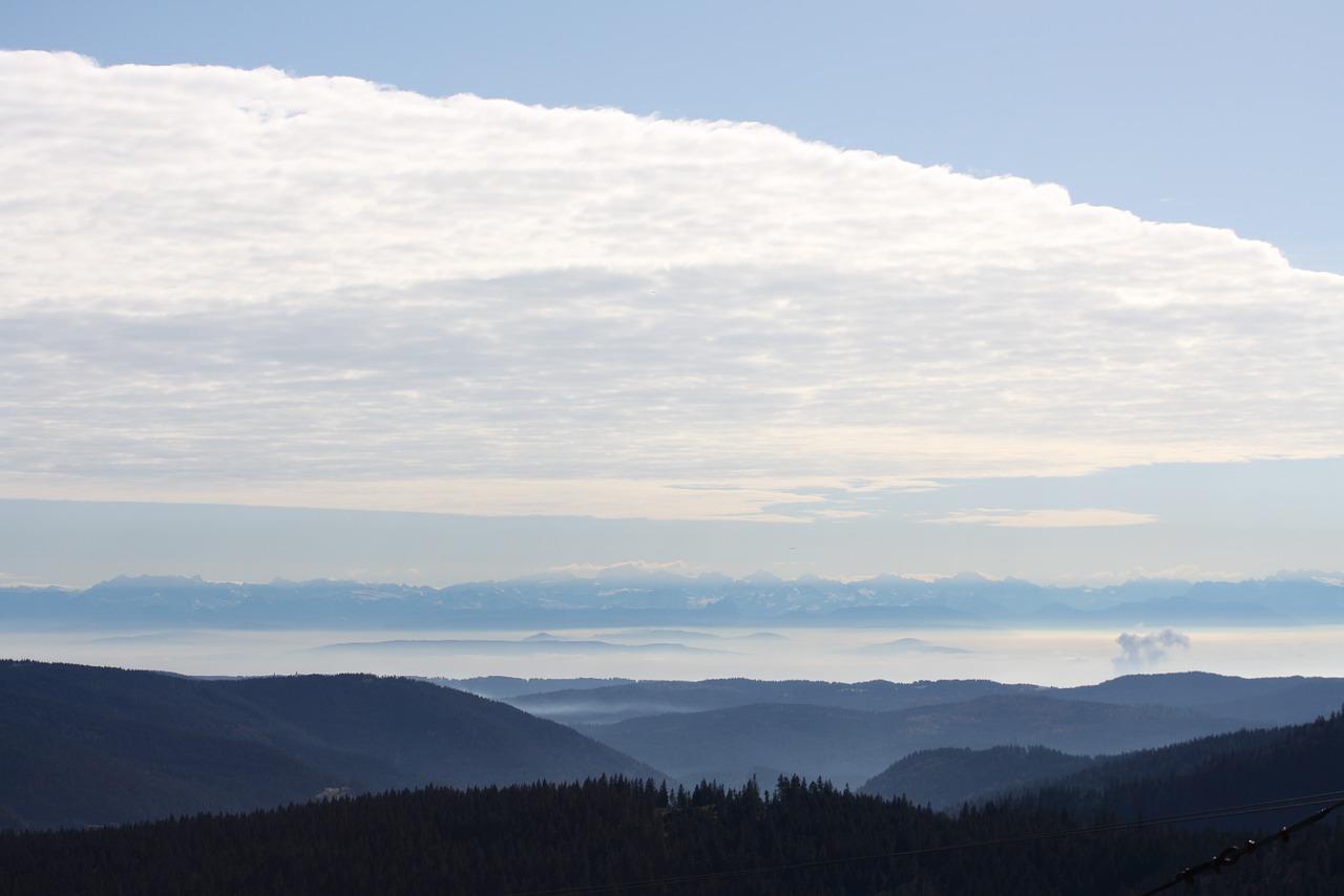 alpine black forest panorama free photo