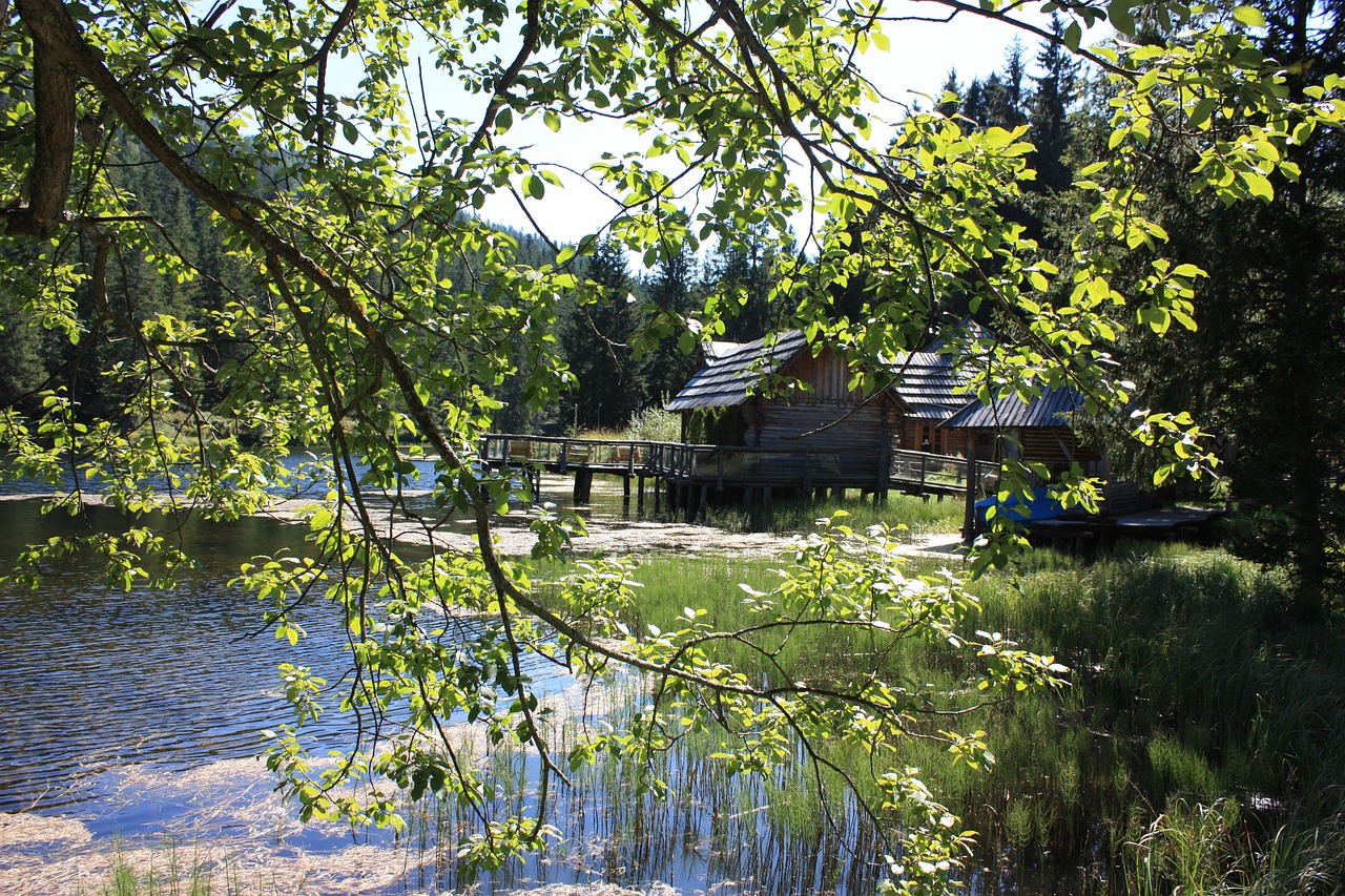 alpine lake nature austria free photo