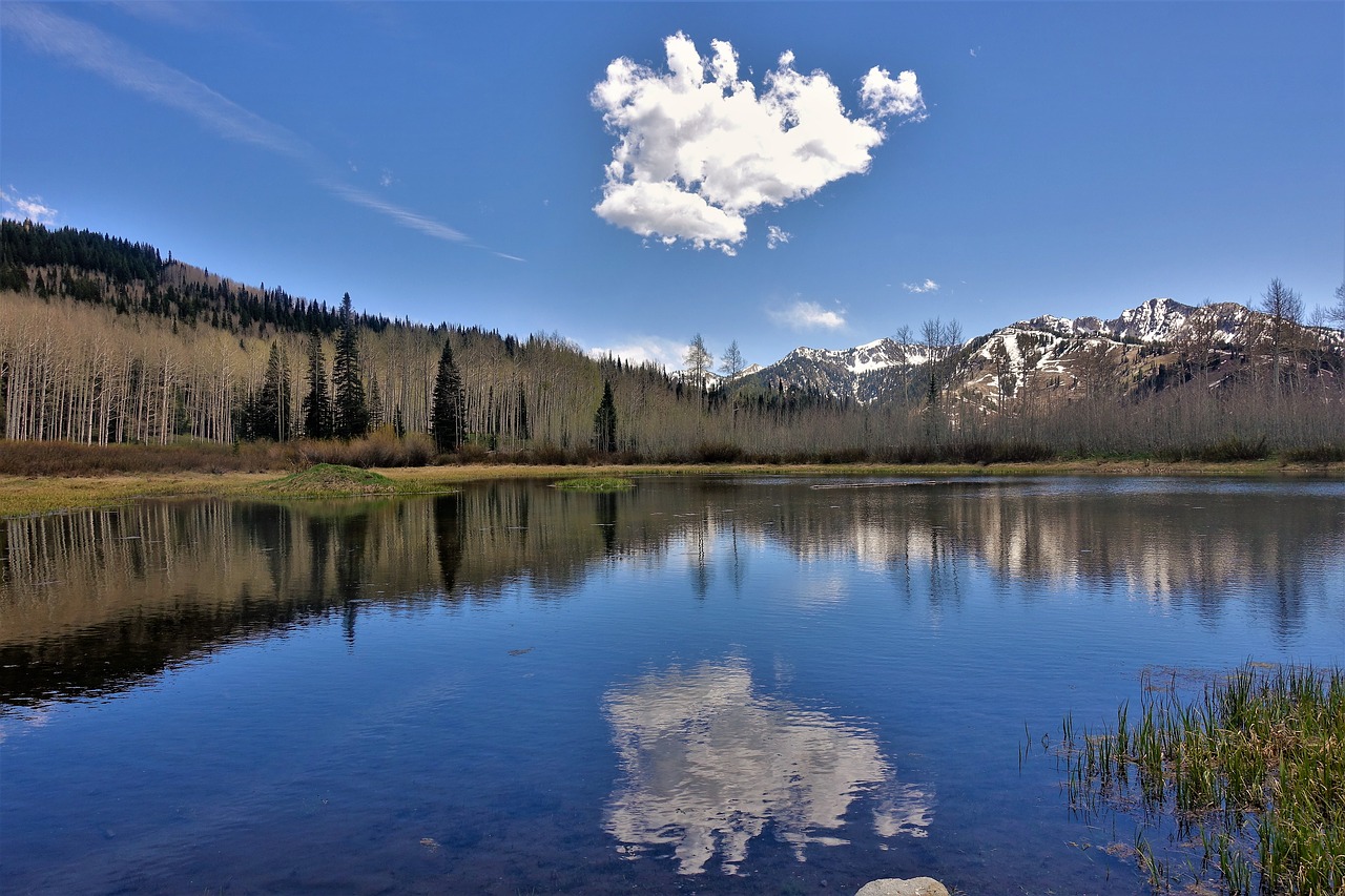 alpine lake  reflection  cloud free photo