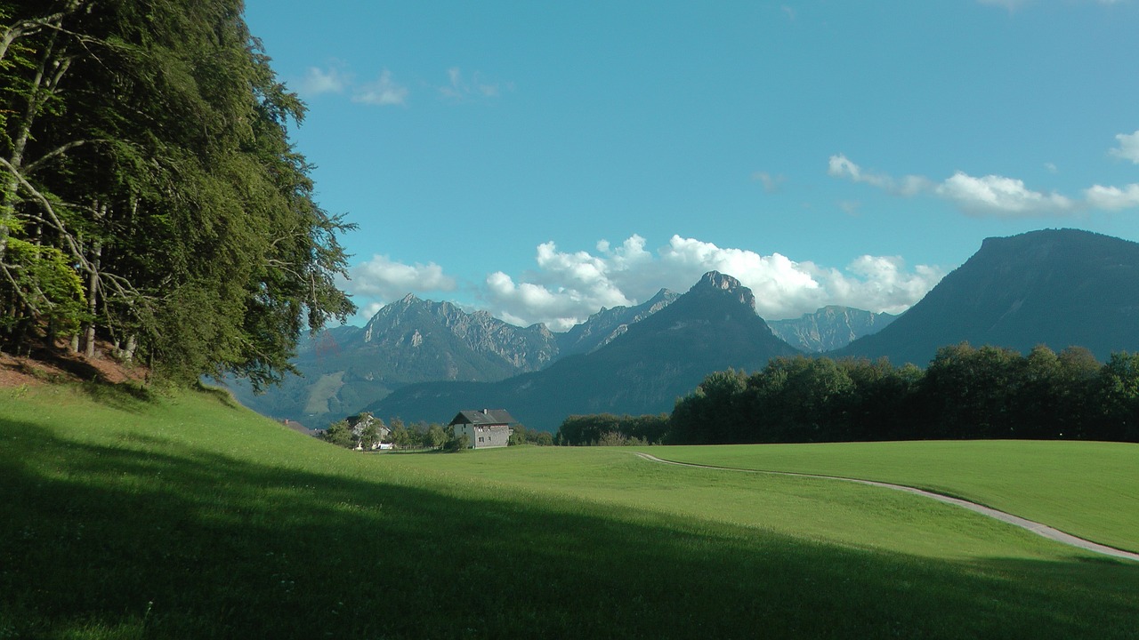 alpine landscape meadow mountains free photo