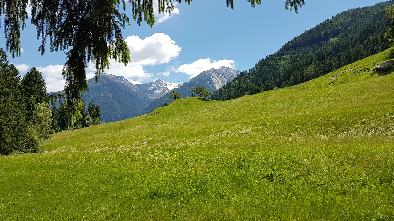 alpine meadow mountains landscape free photo