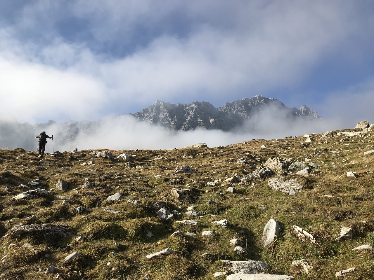 alpine route  alps  alpine free photo