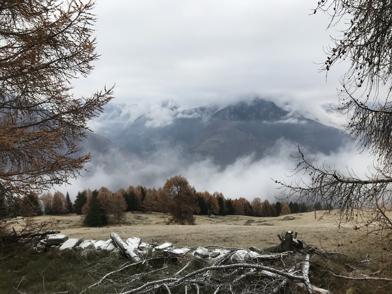 alpine route  alps  alpine free photo