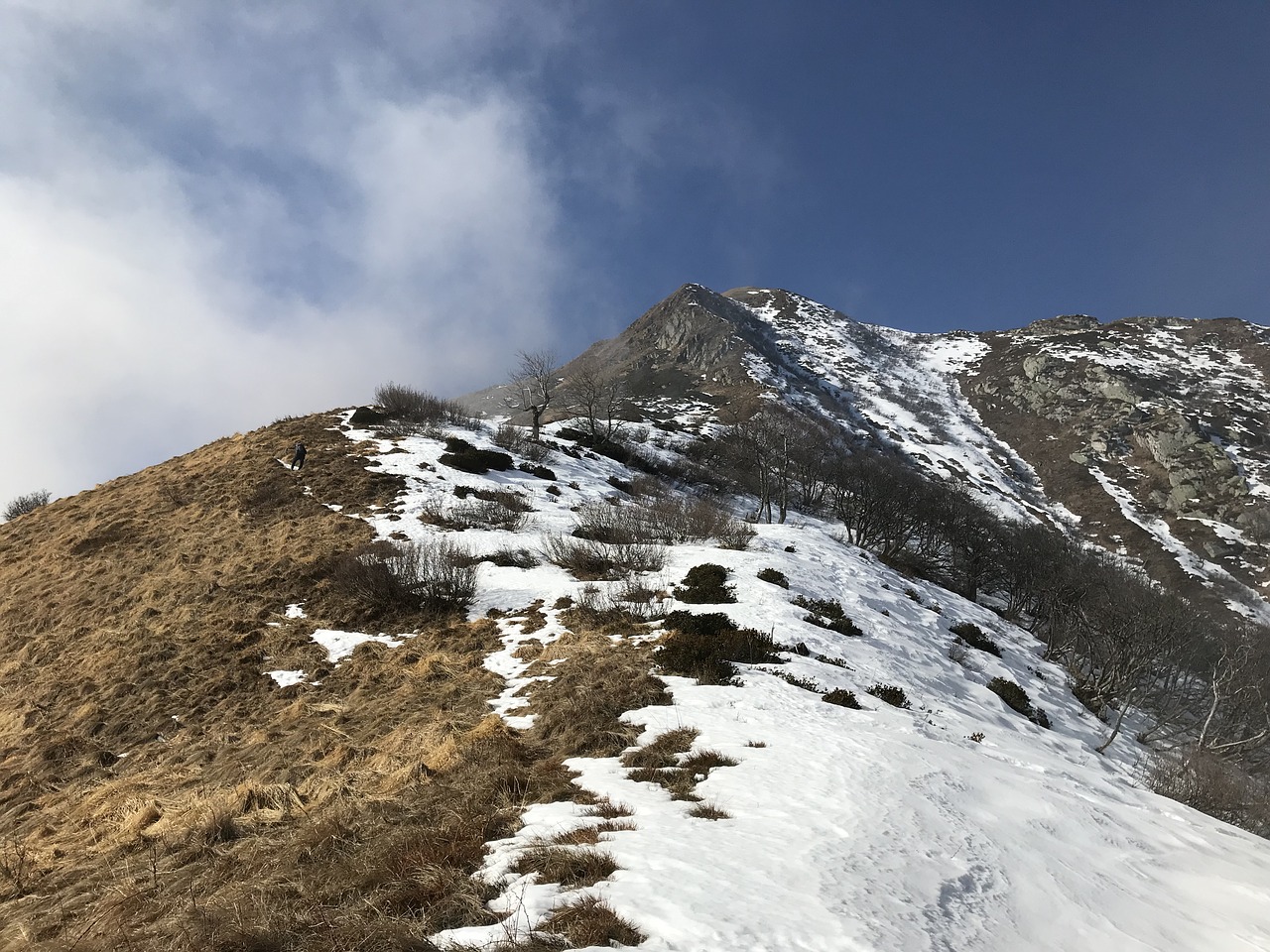 alpine route  alps  alpine free photo