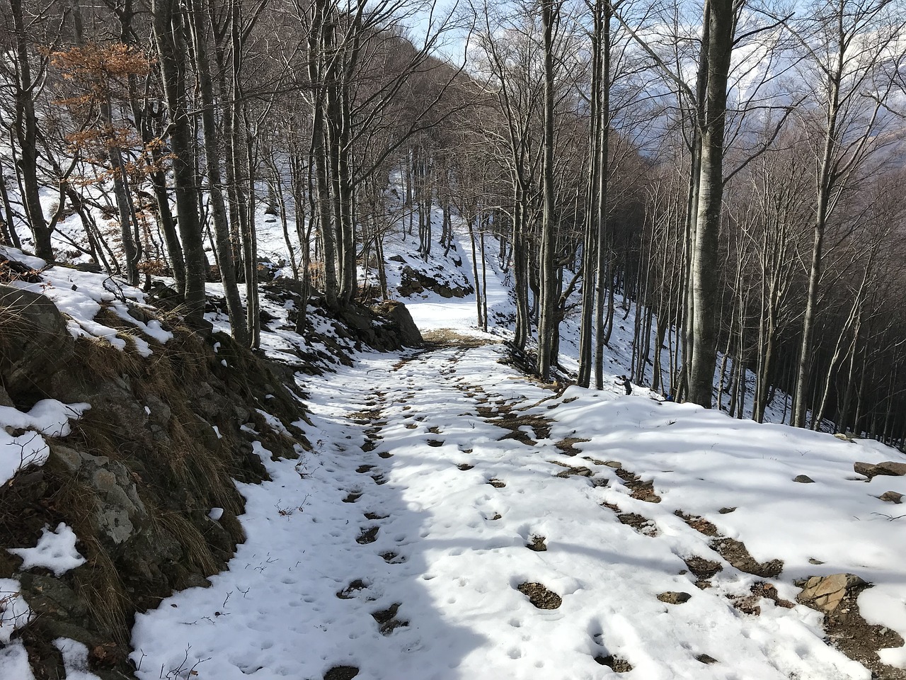 alpine route  alps  alpine free photo