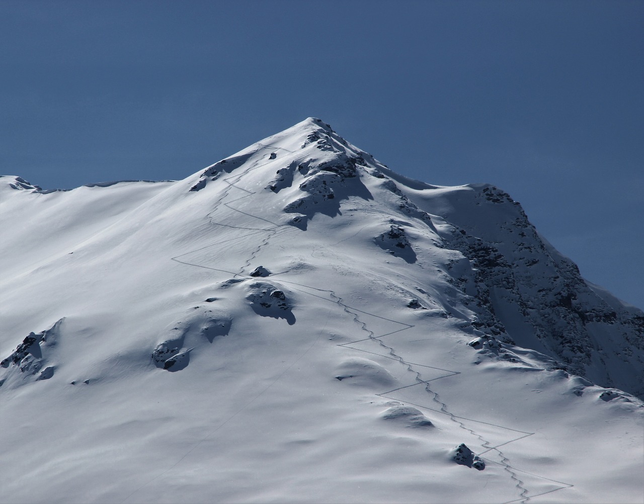 alpine skiing snow mountain free photo