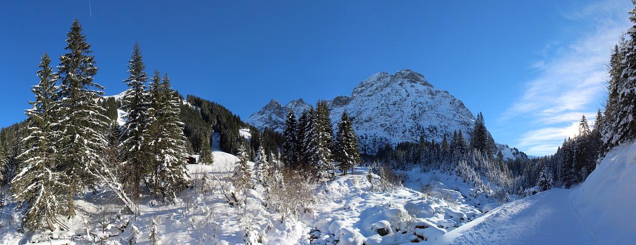 alps oberstdorf germany free photo