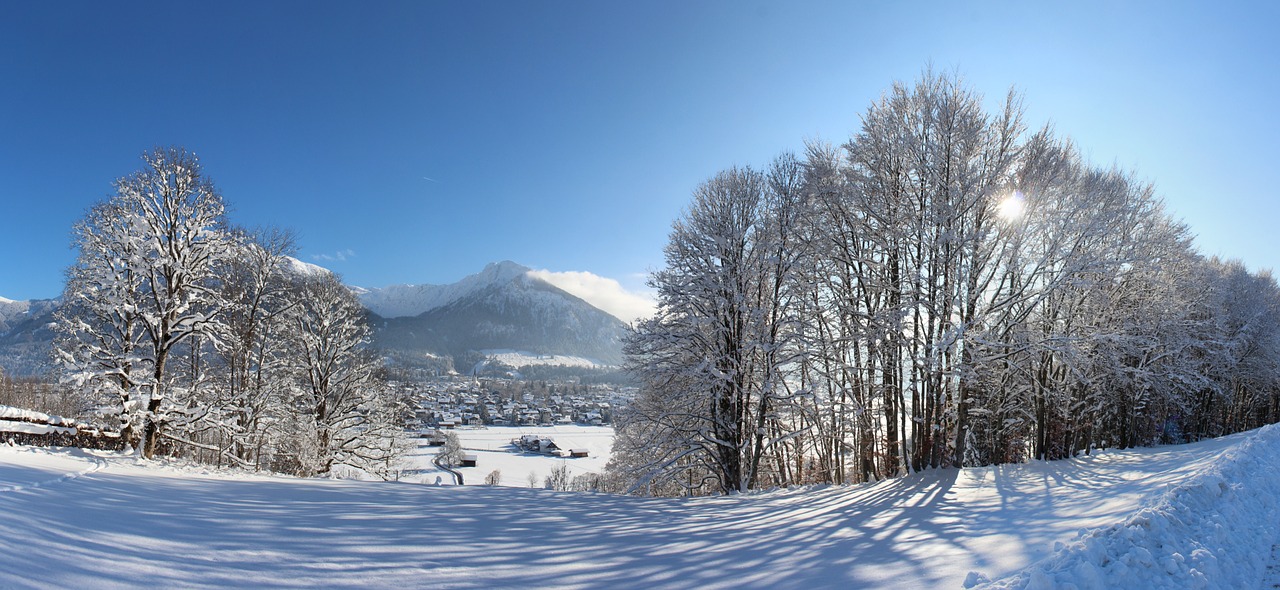 alps oberstdorf germany free photo