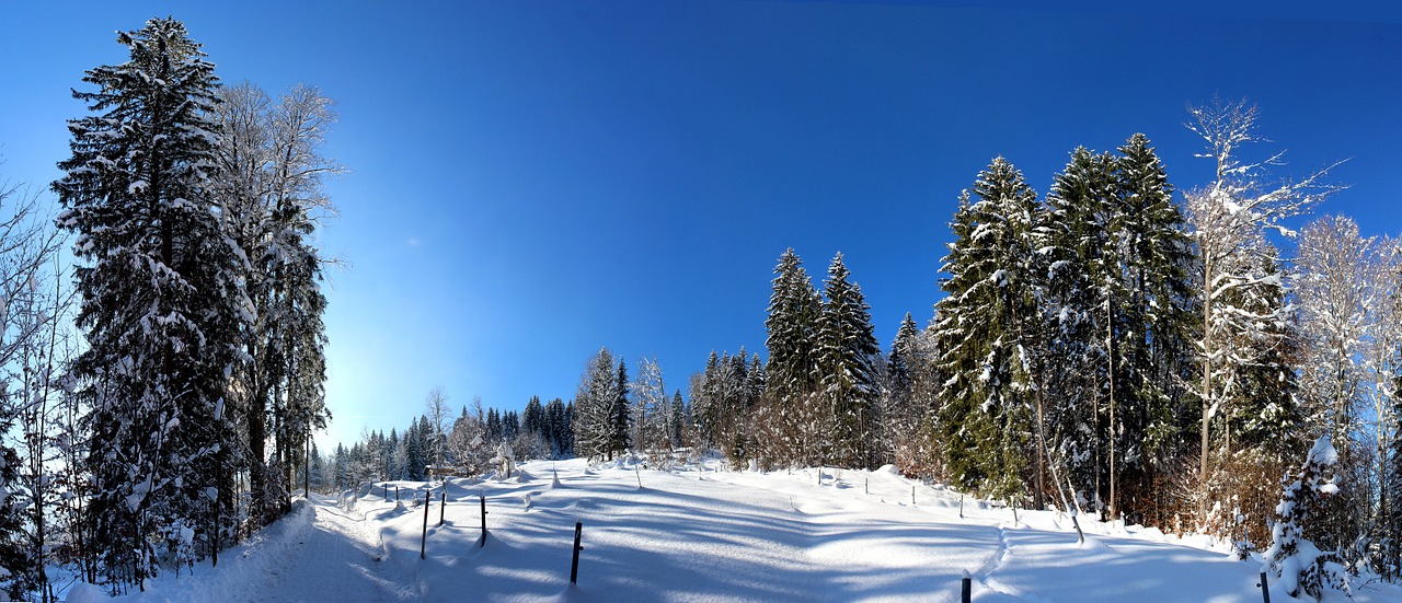 alps oberstdorf germany free photo