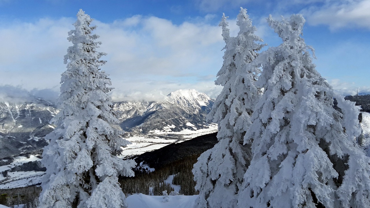 alps mountains austria free photo