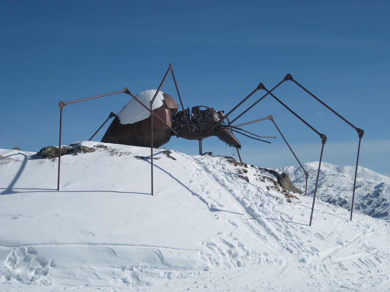 alps snow spider free photo