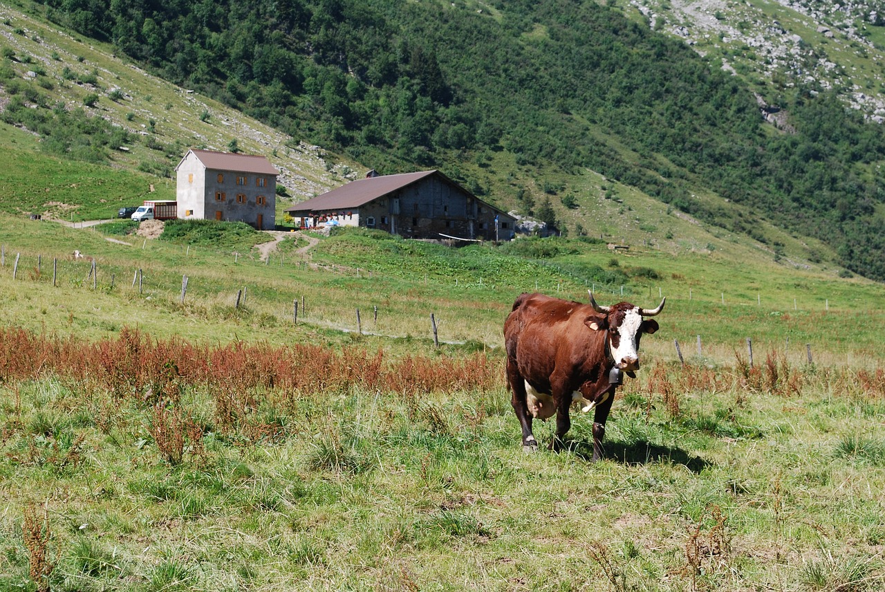 alps hiking holiday free photo