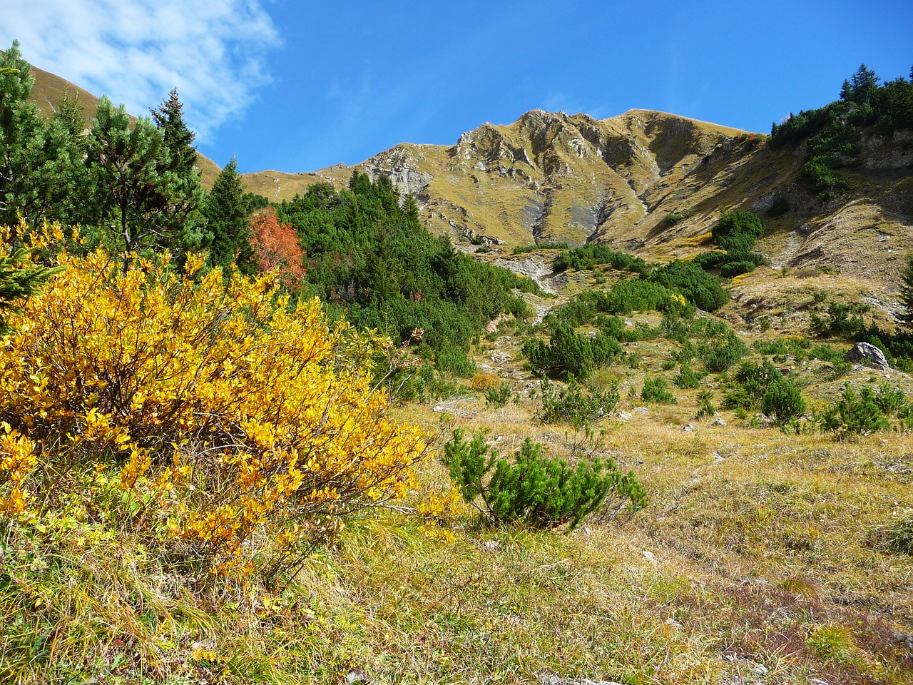 alps autumn mountains free photo