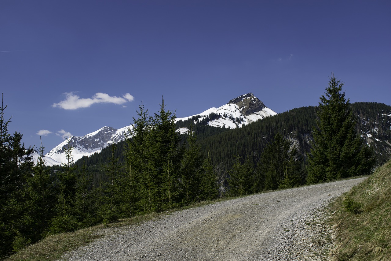 alps  mountains  path free photo