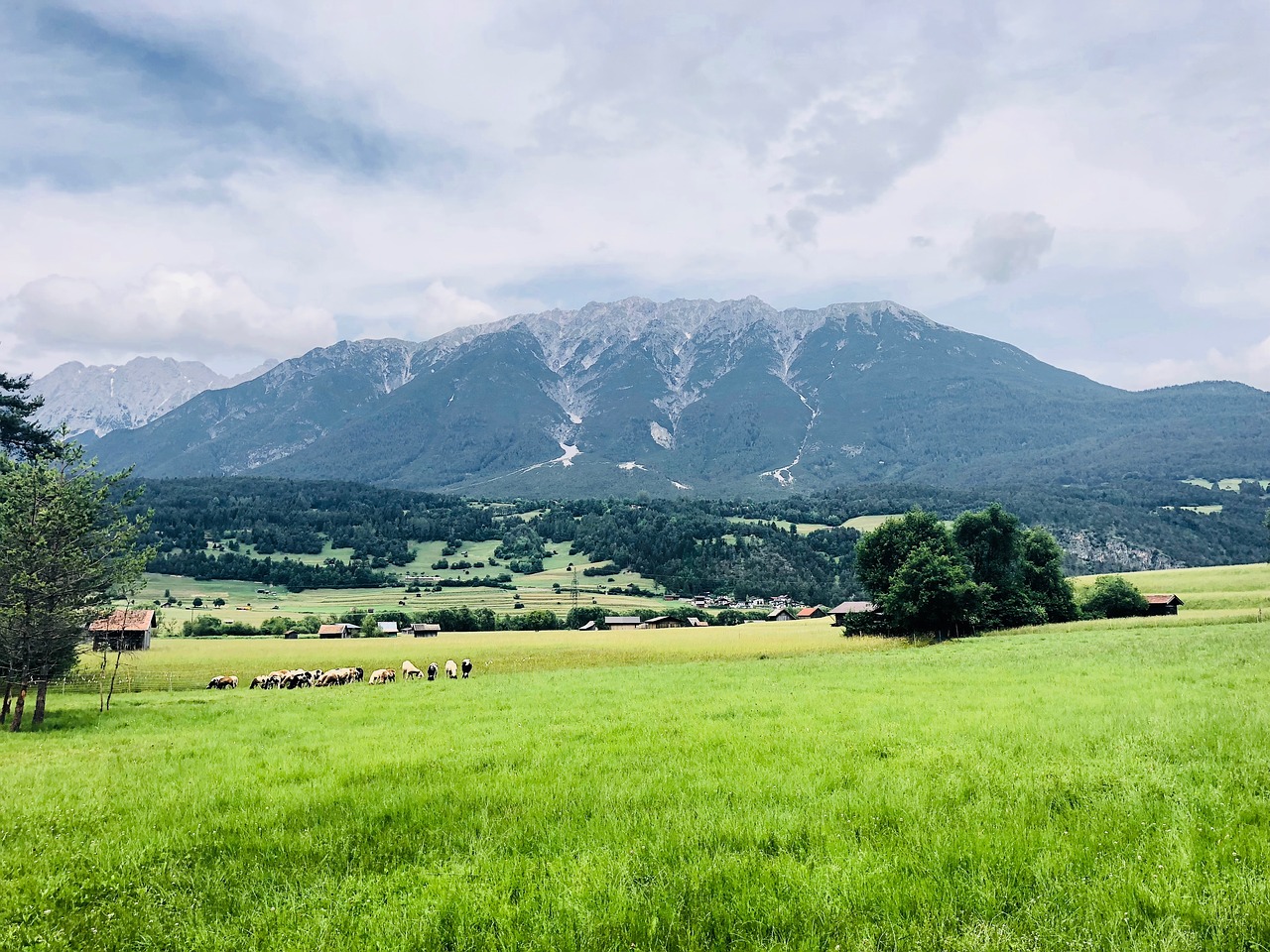 alps  nature  mountains free photo