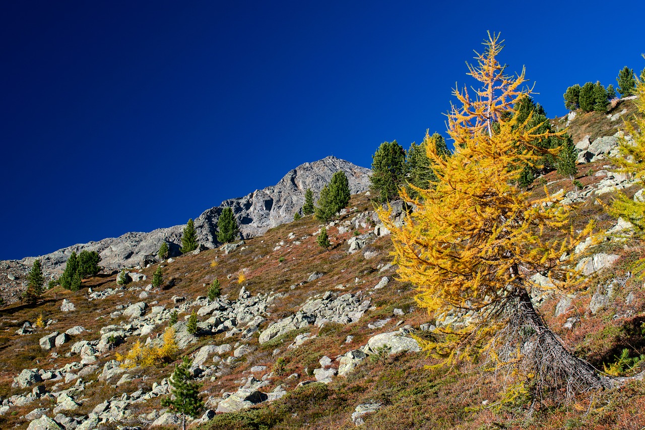 alps  autumn  landscape free photo