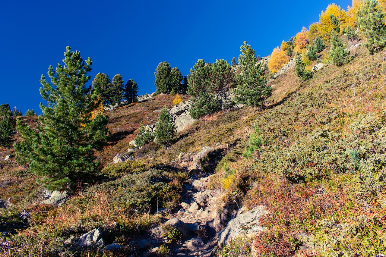 alps  autumn  colors free photo