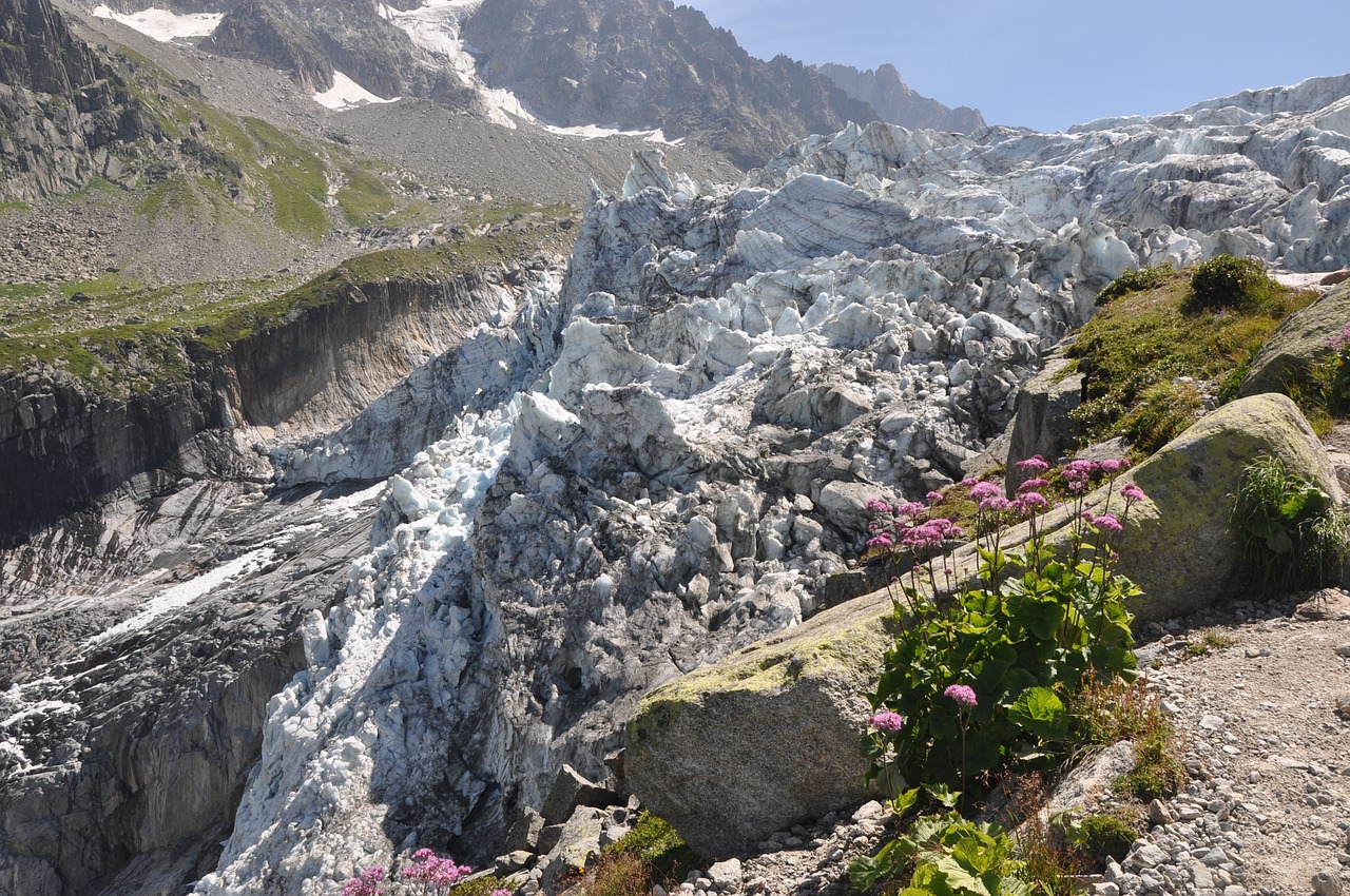 alps  mountains  glacier free photo