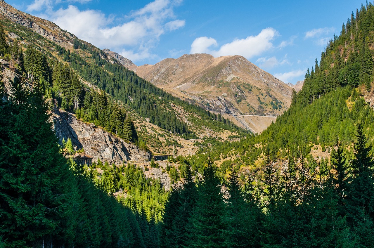 alps forest mountains free photo