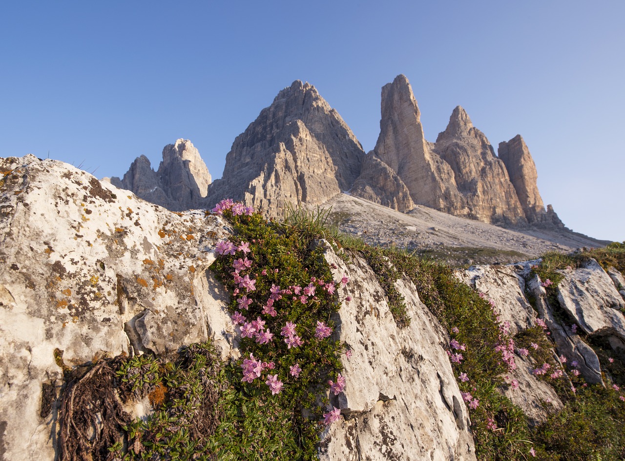 alps dolomites mountains free photo