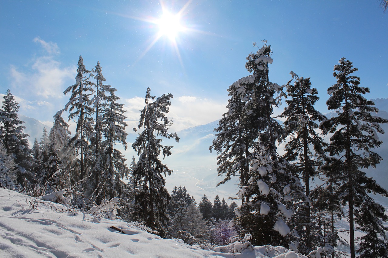 alps winter sports snow free photo