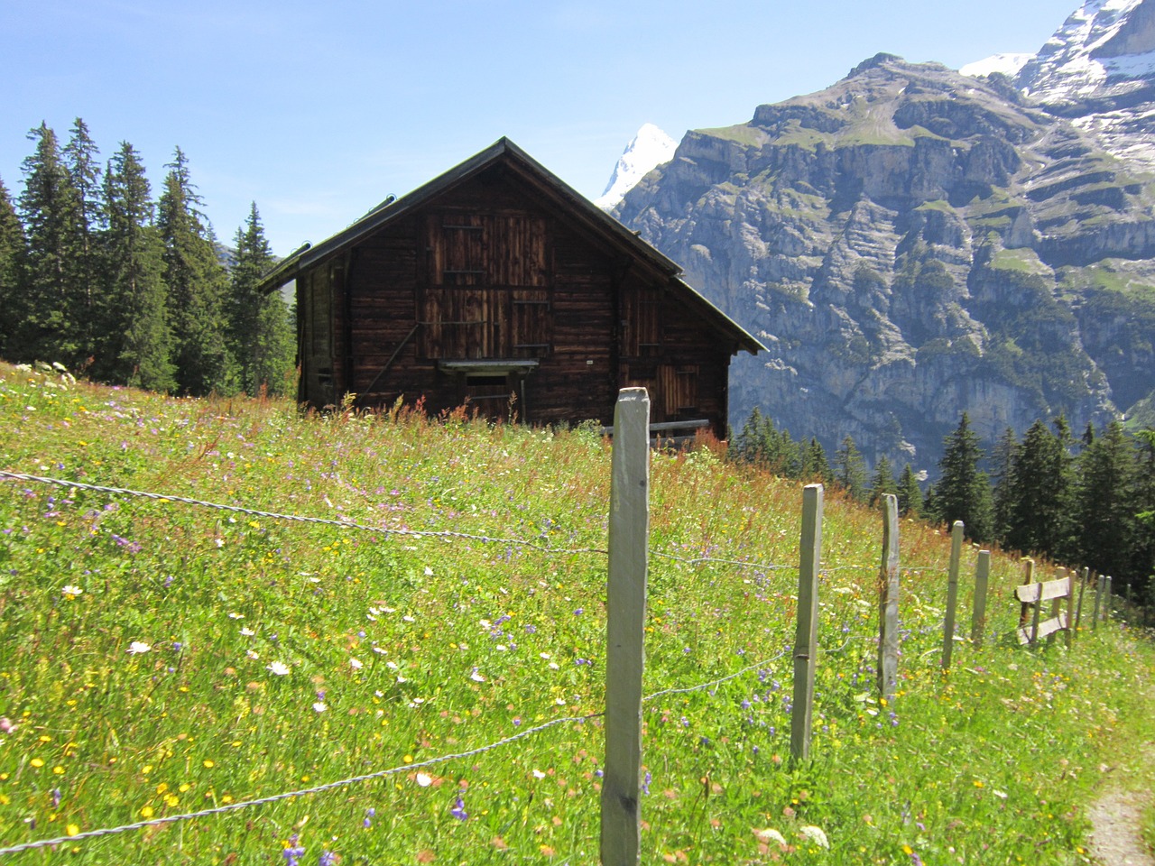 alps lodge path free photo