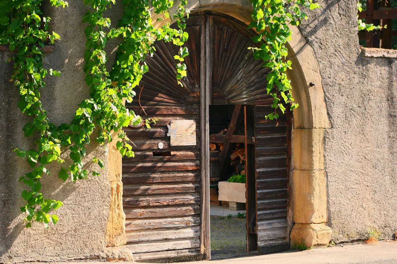 alsace  goal  historic center free photo