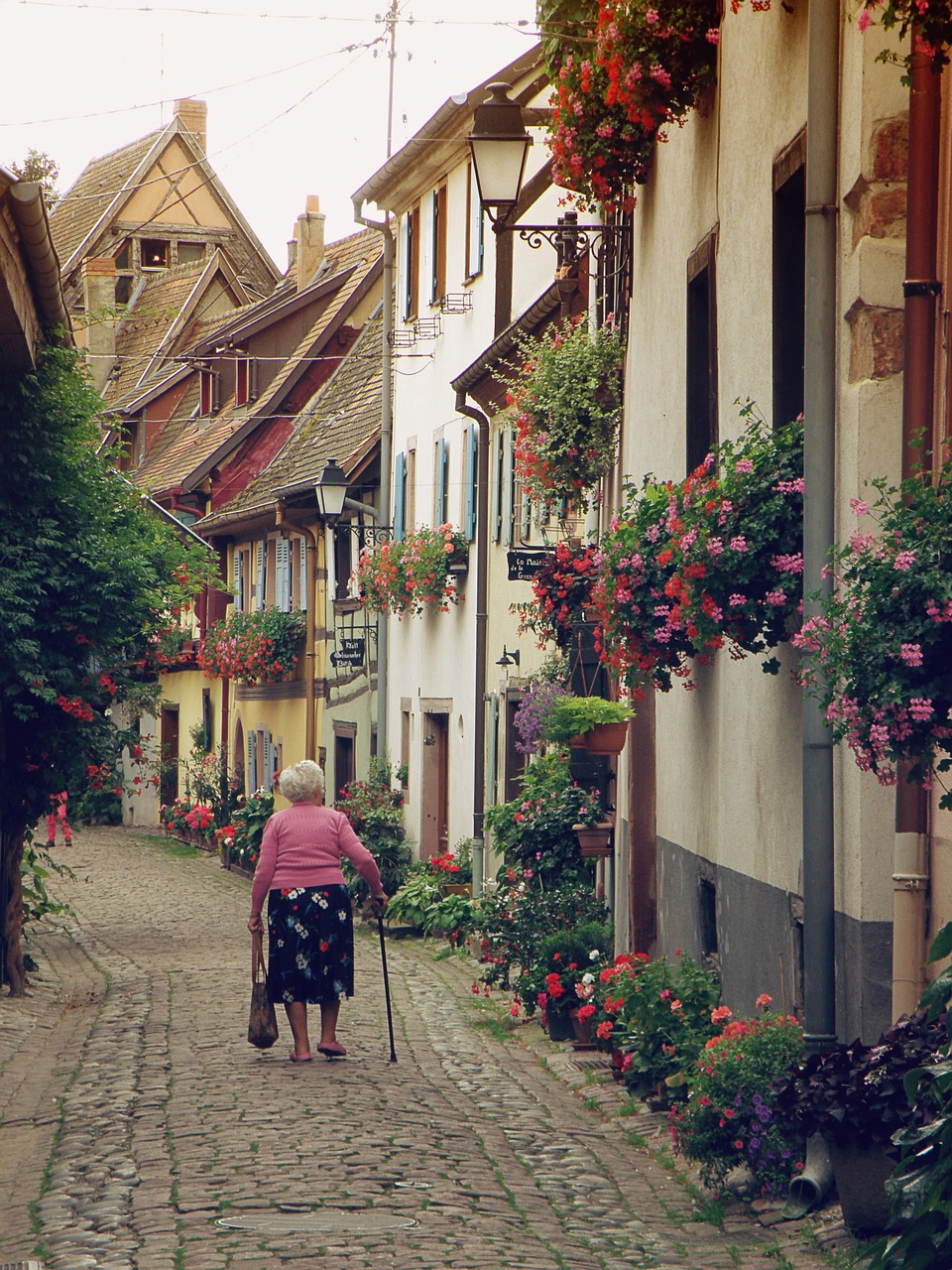 alsace  france  historical romantic street free photo