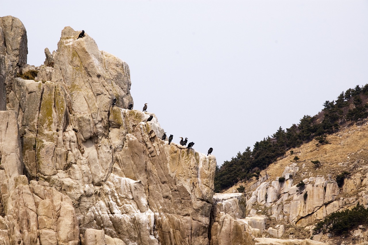 also somaemul tongyeong island free photo