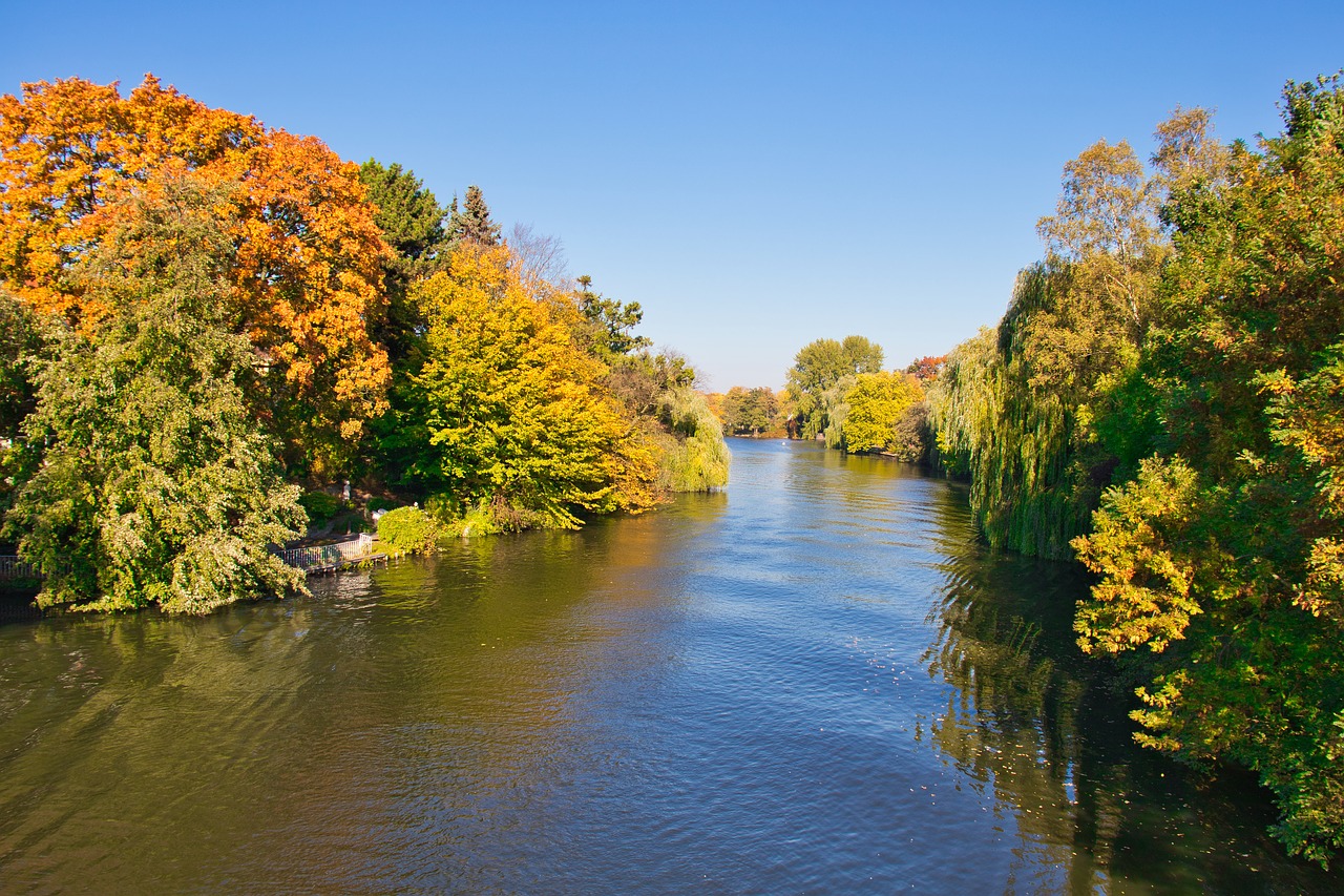 alster  hamburg  autumn free photo