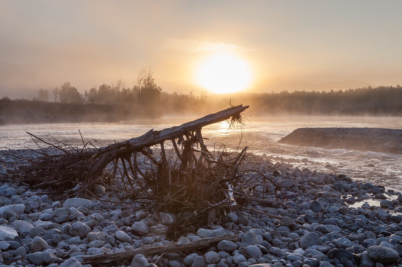 altai  dawn  nature free photo