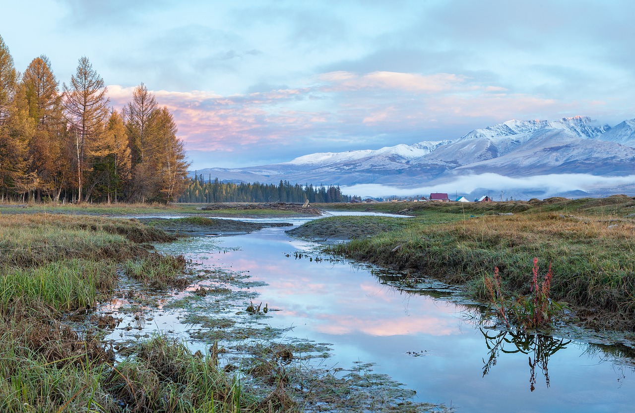 altai  river  autumn free photo