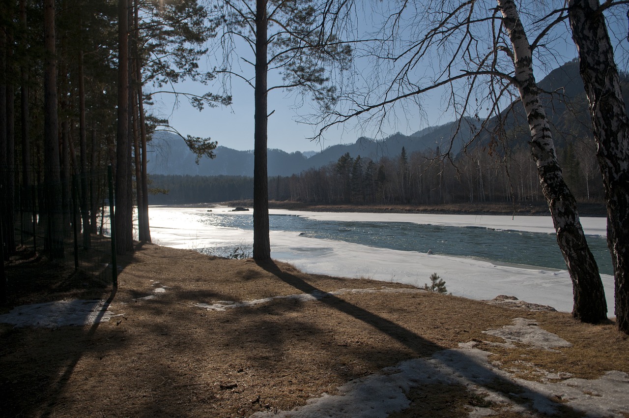 altai  siberia  mountains free photo