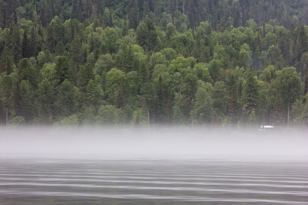 altai fog lake teletskoye free photo