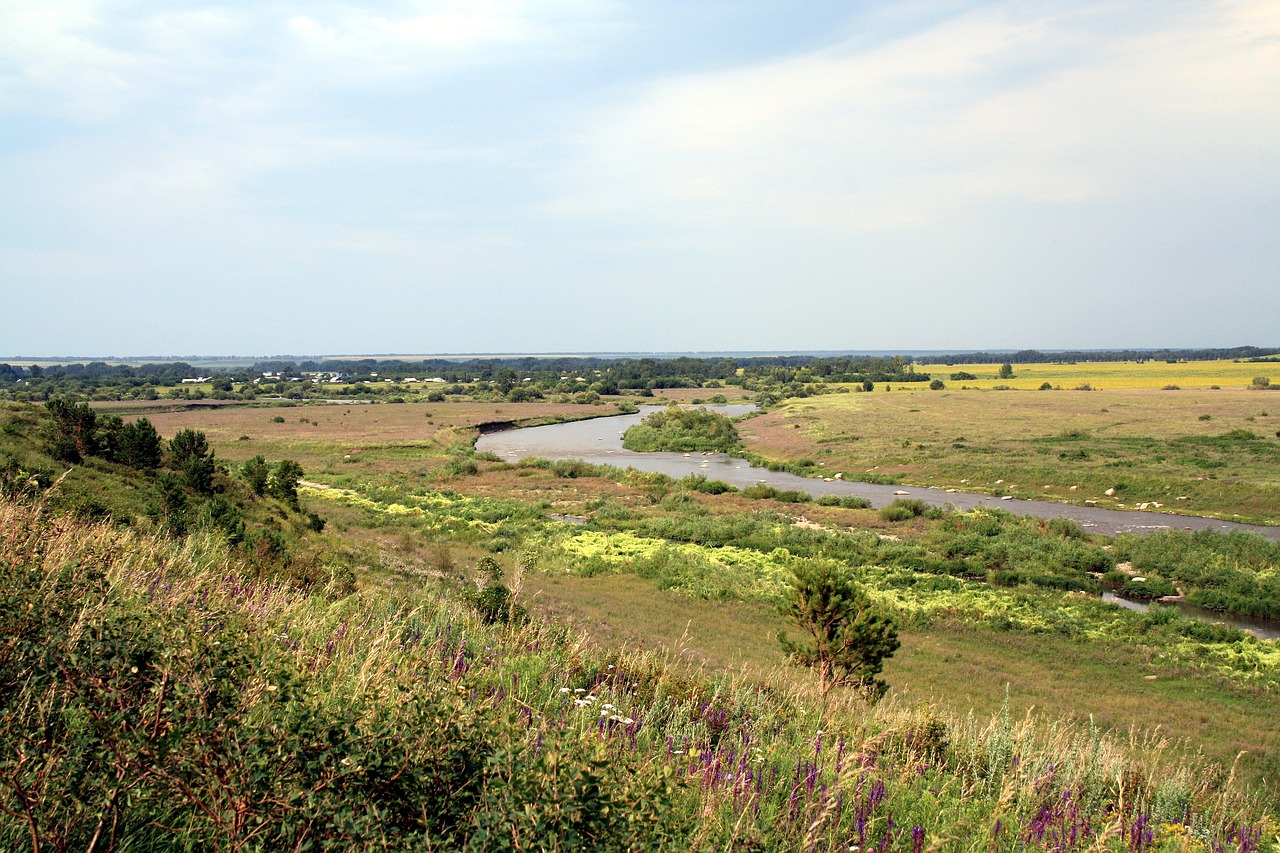 altai krai river summer free photo