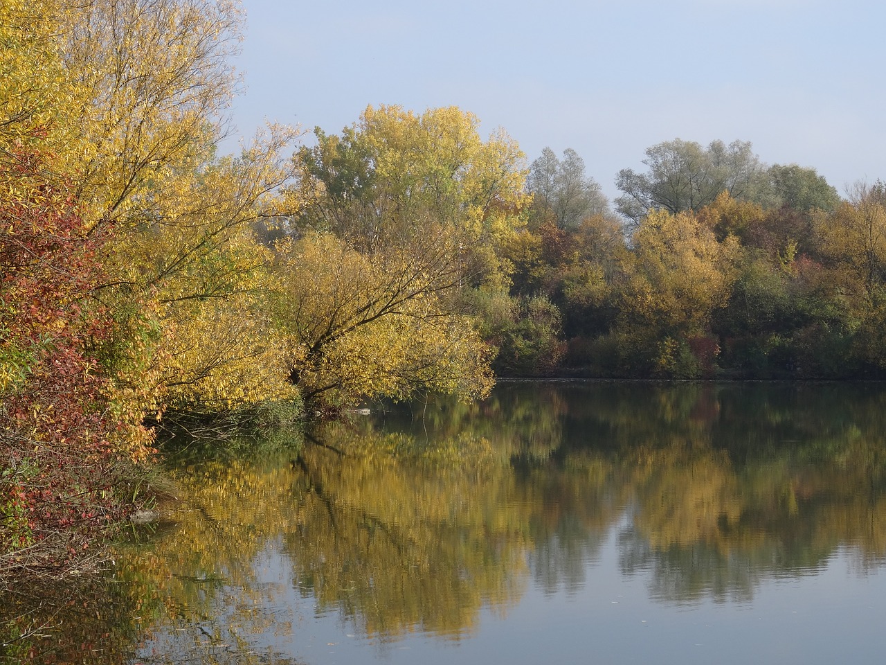 altbach age neckararm autumn free photo