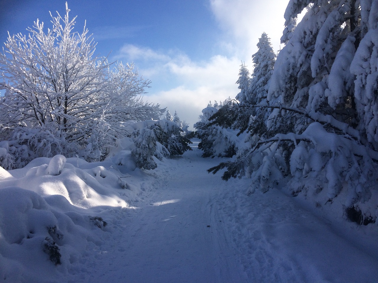 altenberg winter snow free photo