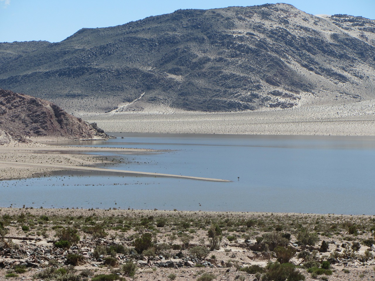 altiplano water lake free photo