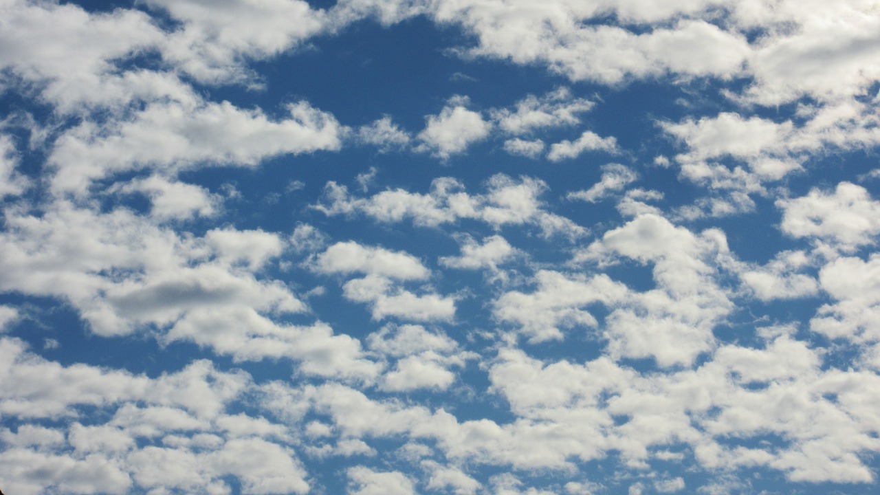 altocumulus clouds clouds sky free photo