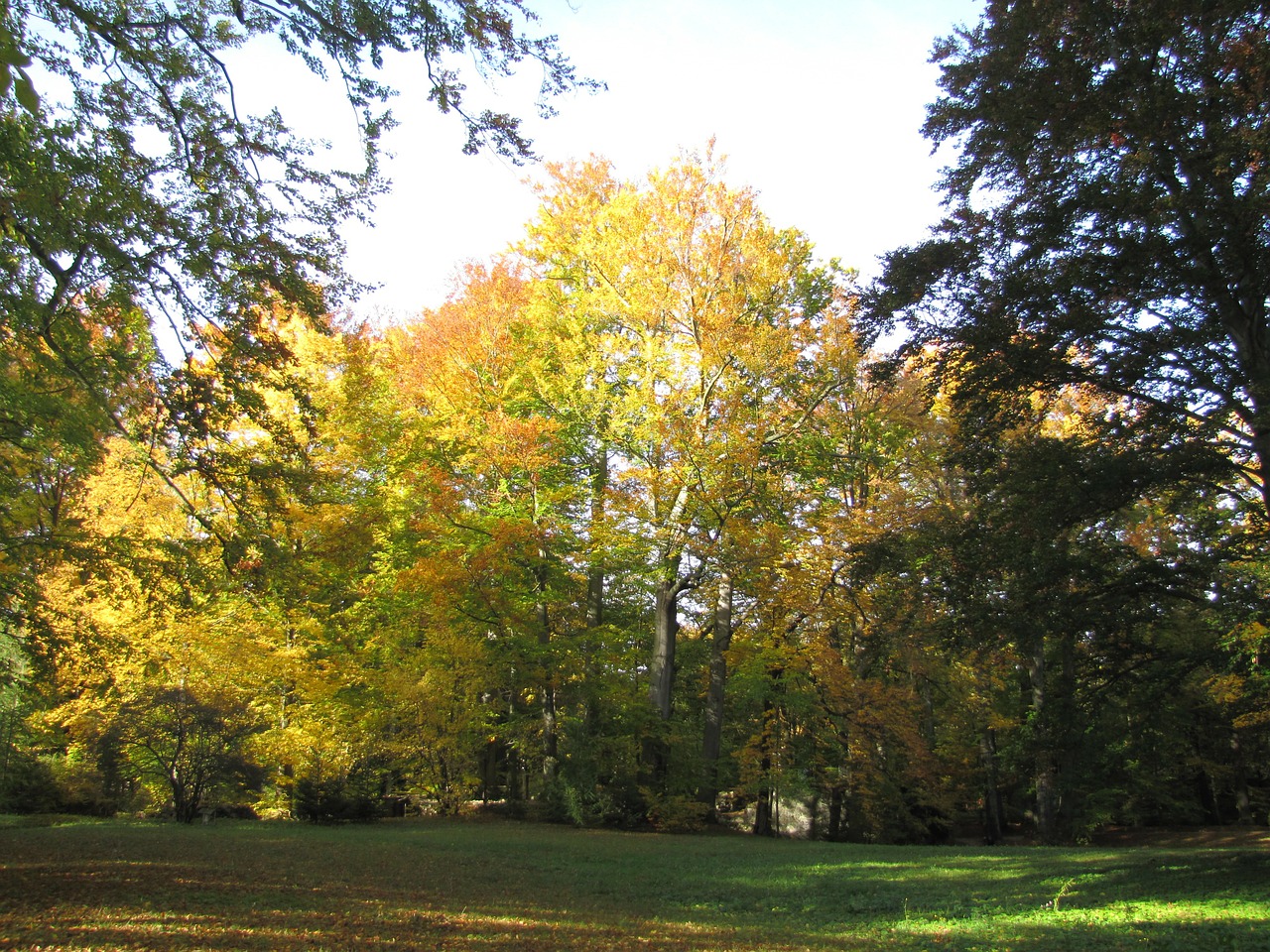 altzella abbey park autumn landscape free photo