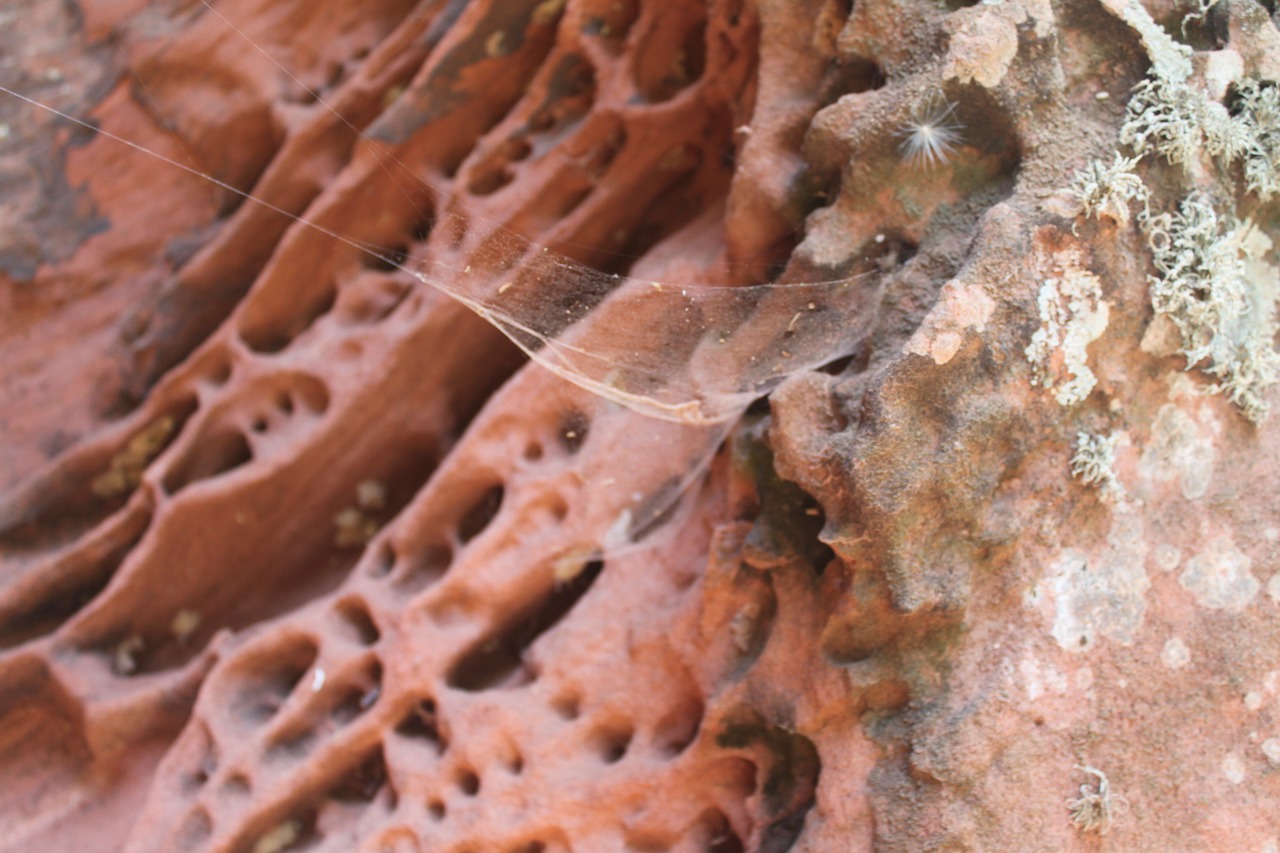 alveolar erosion sediments sandstone free photo