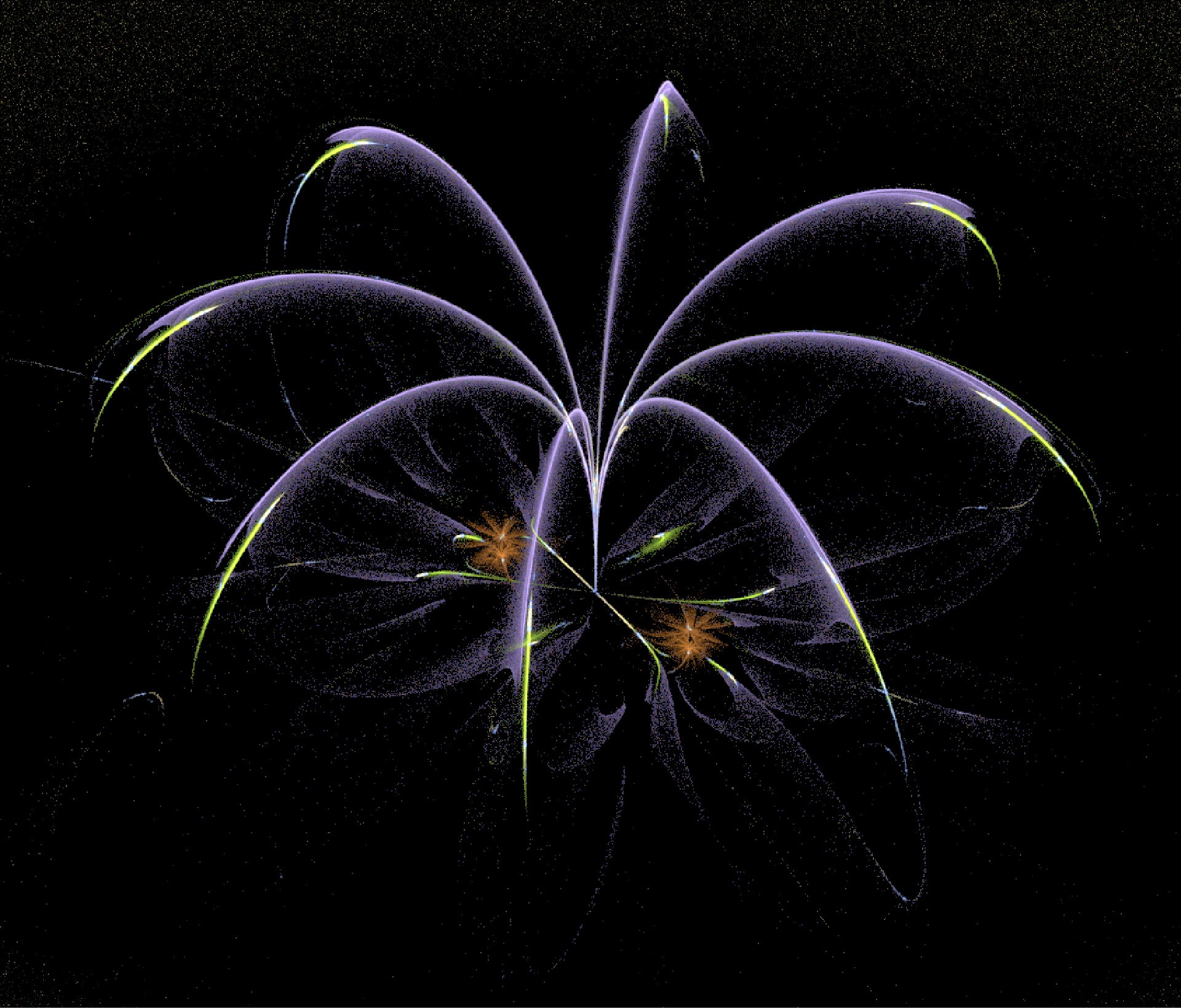 fractal amazing flower free photo