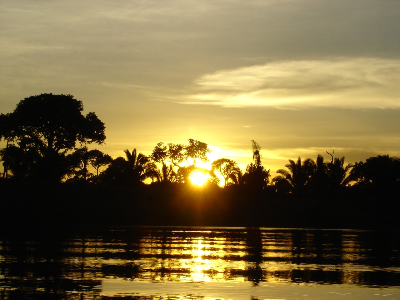 amazon sunset river free photo