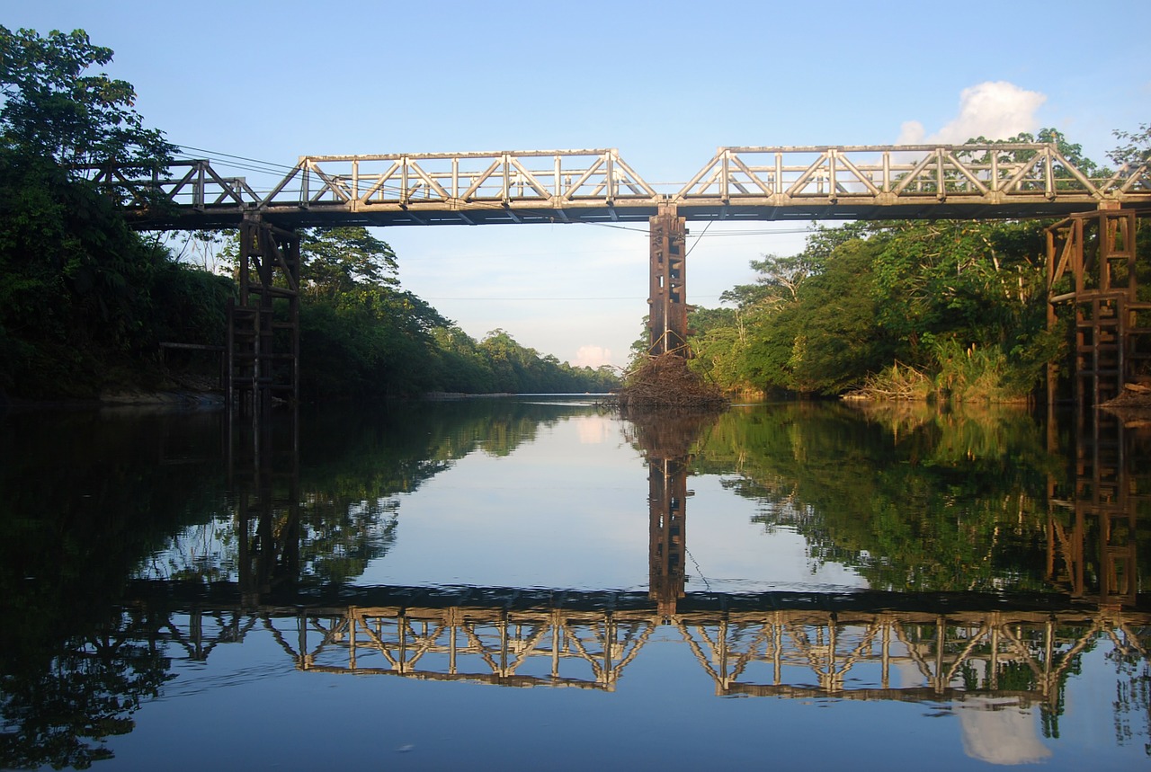 amazon bridge reflection free photo
